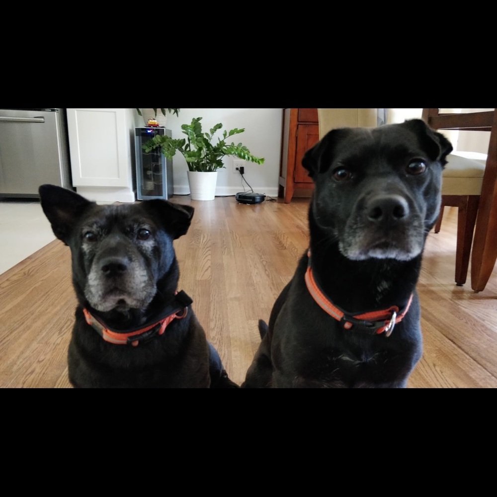 Meet your Posher, Claudia